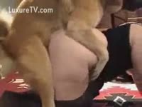 Beastiality Sex - Thrill seeking redhead doxy enjoying beast sex during the time that in underware